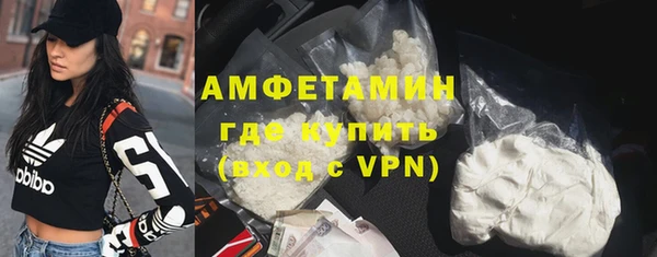 индика Михайлов