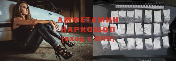 индика Михайлов