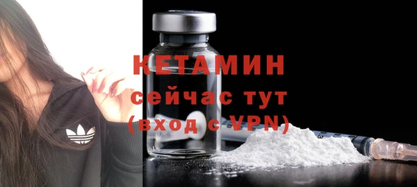 индика Михайлов