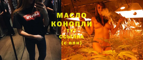 индика Михайлов