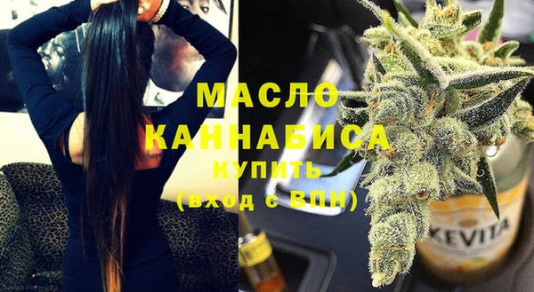 индика Михайлов