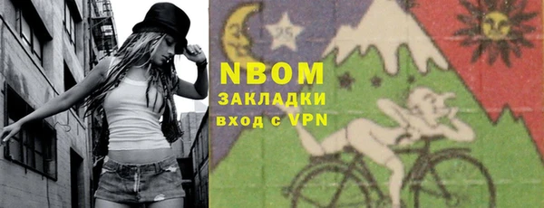 индика Михайлов